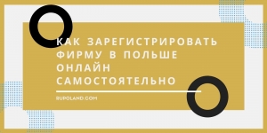 Как зарегистрировать фирму в Польше онлайн самостоятельно